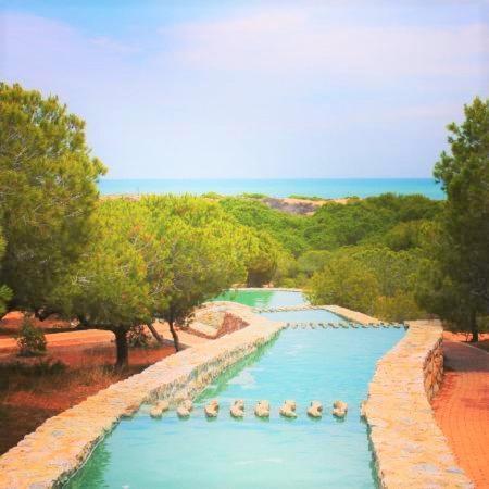 Apartment With Pool, Sea Views & Balcony Less Than 10Min Walk To La Mata Beach! Torrevieja Exterior foto