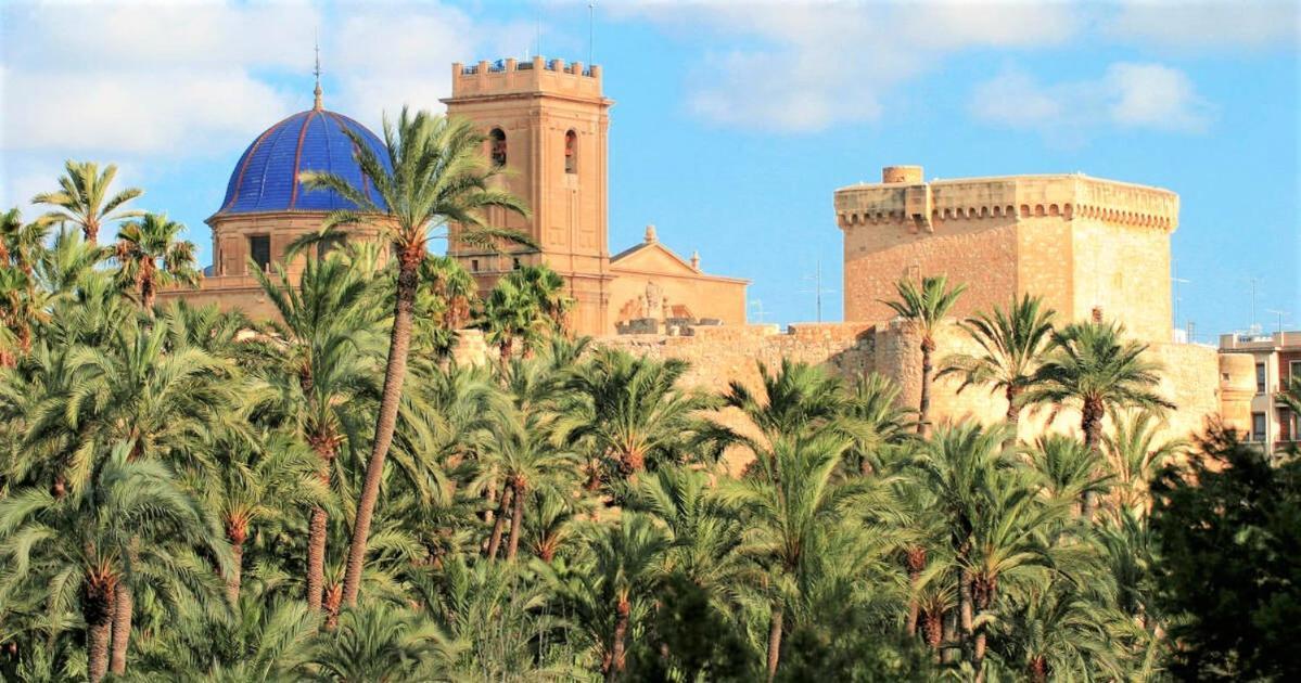 Apartment With Pool, Sea Views & Balcony Less Than 10Min Walk To La Mata Beach! Torrevieja Exterior foto